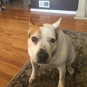 Meet your Posher, Carly